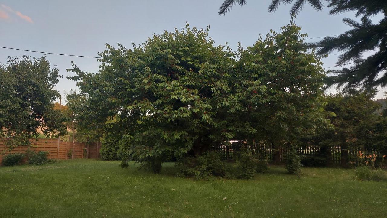 Apartament Stokrotka Lägenhet Lądek-Zdrój Exteriör bild