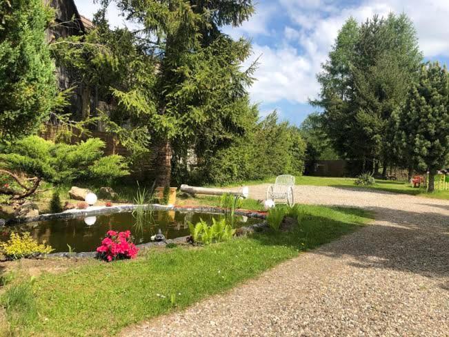 Apartament Stokrotka Lägenhet Lądek-Zdrój Exteriör bild